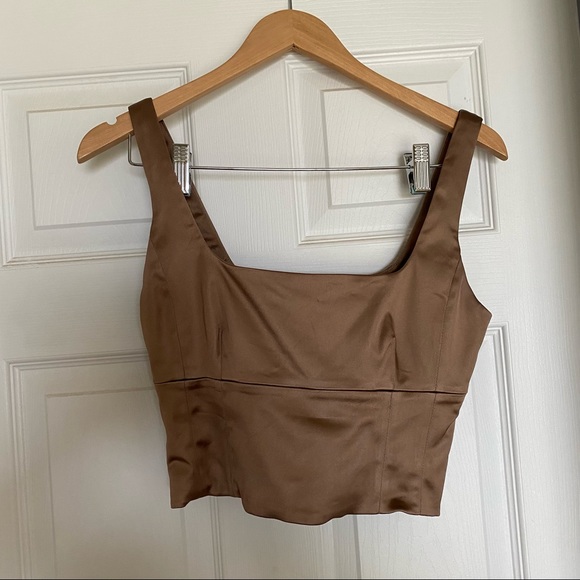 Aritzia Shine Bustier Top - Picture 4 of 5